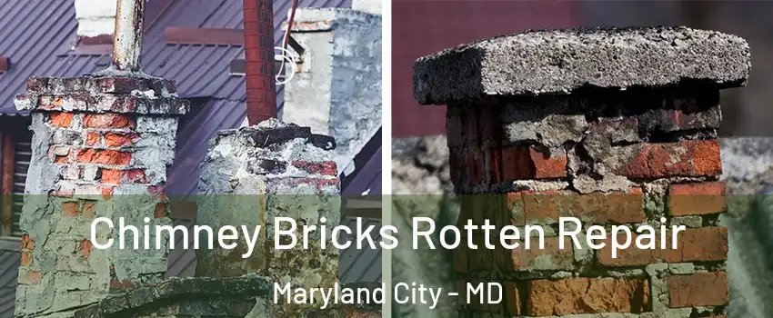  Chimney Bricks Rotten Repair Maryland City - MD
