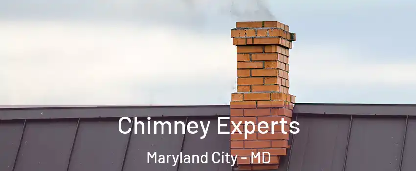 Chimney Experts Maryland City - MD