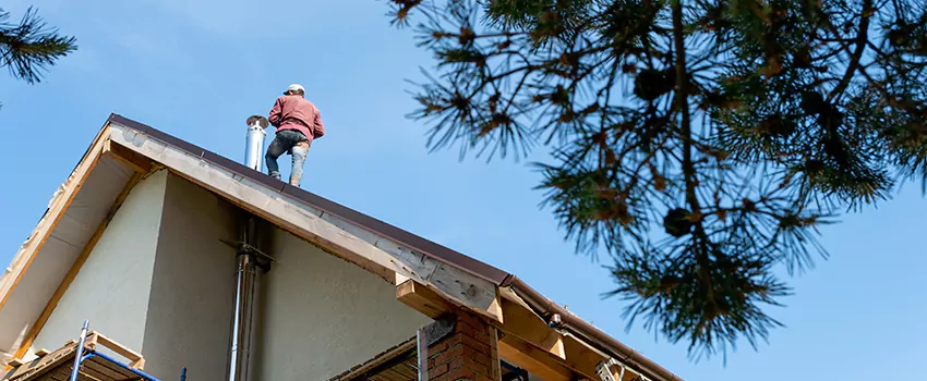 Birds Removal Contractors from Chimney in Maryland City, MD