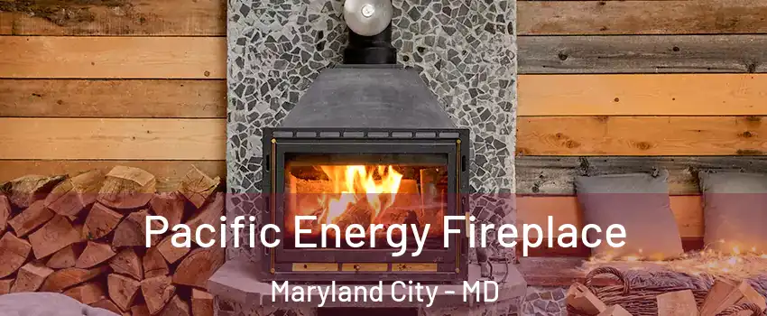  Pacific Energy Fireplace Maryland City - MD